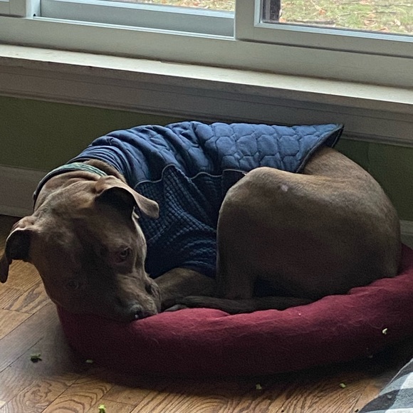 MEET YOUR POSHER, Emily W. 🎀 - Picture 8 of 8